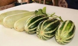 靖边网红吃瓜是谁,揭秘背后真相与争议