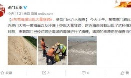 张家口老四爆料视频曝光,揭秘背后惊人真相